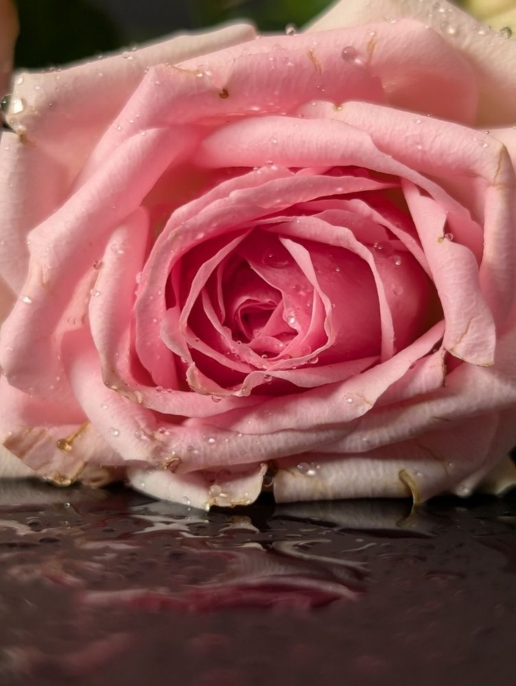 Photograph by Наталья Горовых