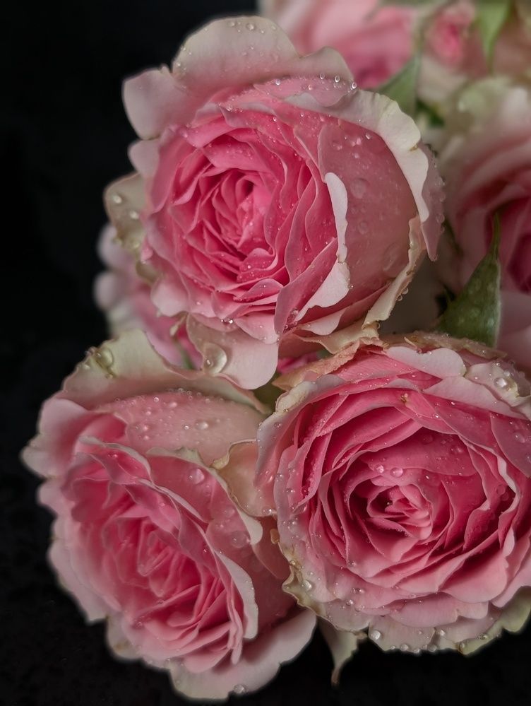 Photograph by Наталья Горовых