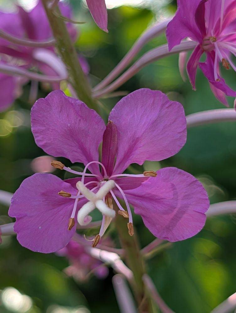 Photograph by Наталья Горовых