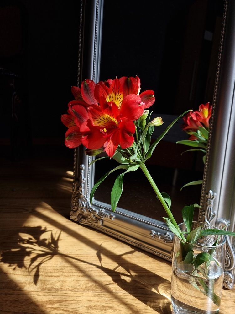 Photograph by Natasha