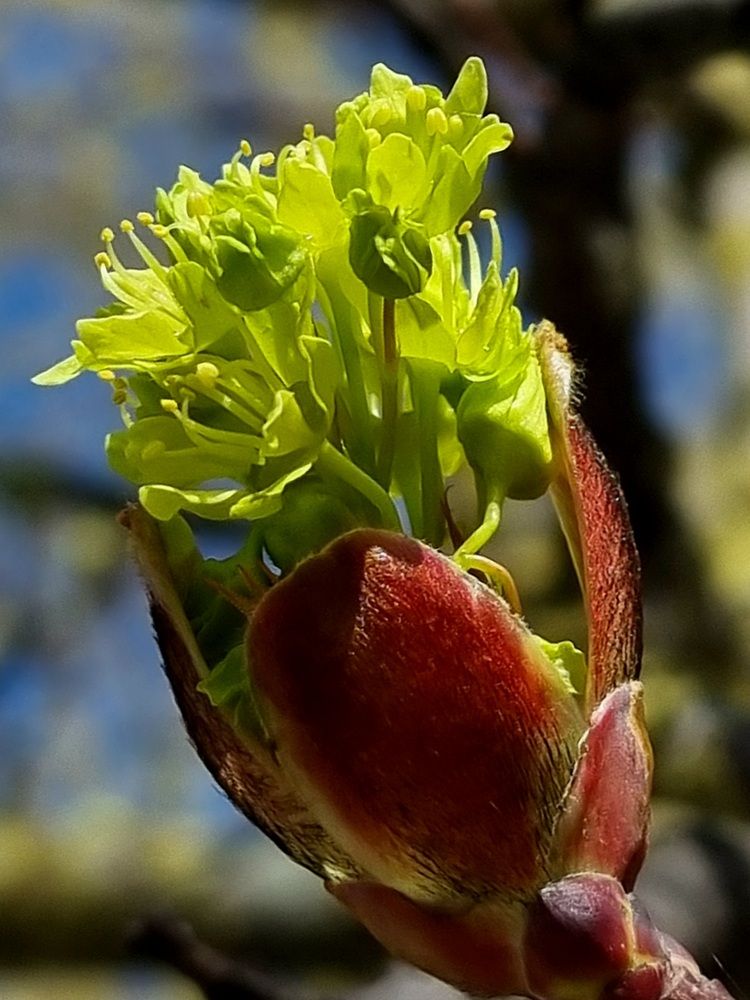 Photograph by Natasha