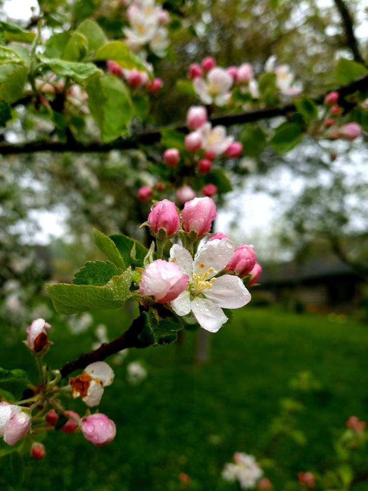 Photograph by Natasha