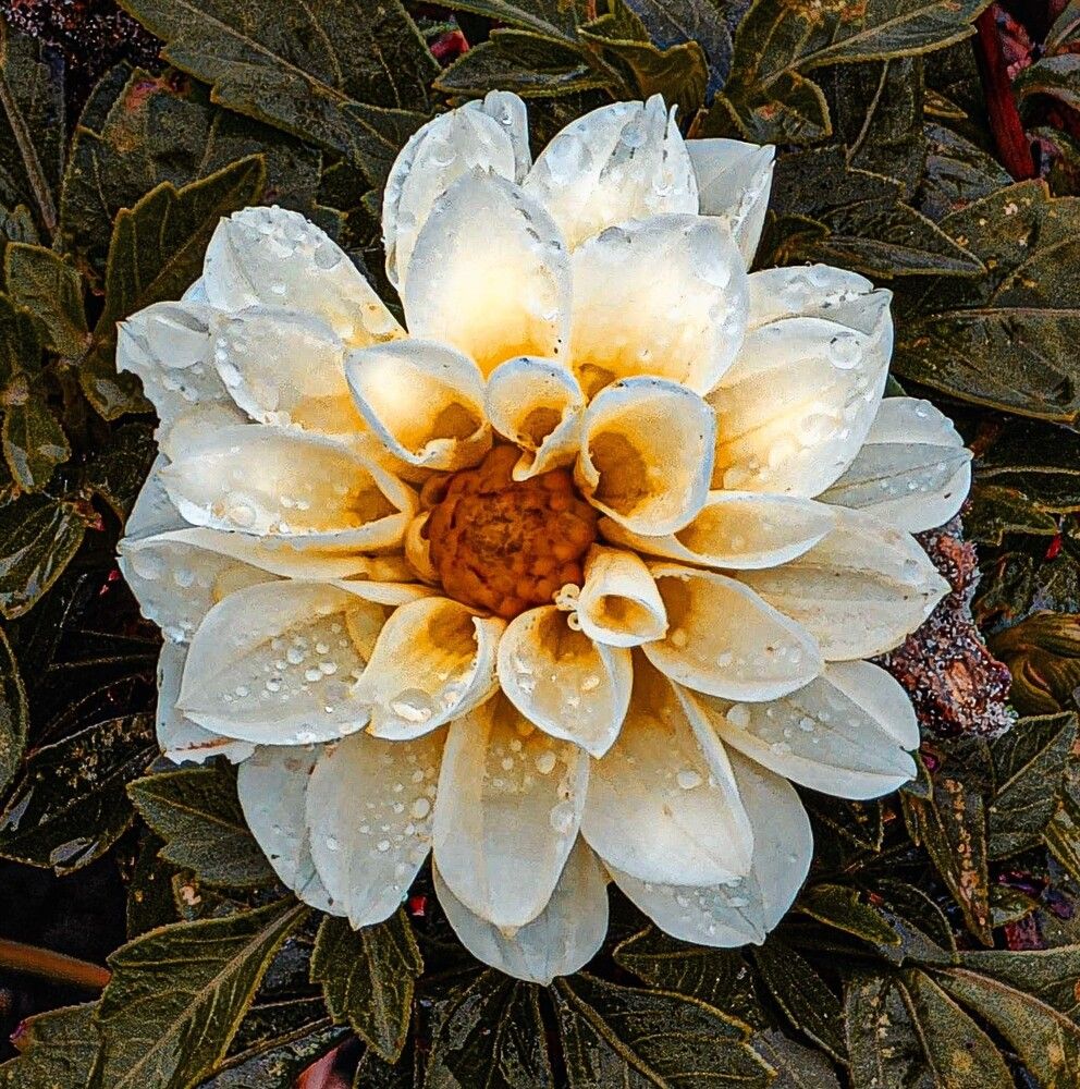 Photograph by HECTOR ANTONIO RAUCHS