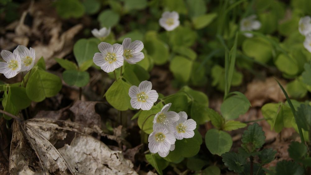 Photograph by Лариса Андреева