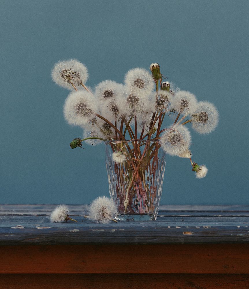 Photograph by Ольга Чибисова
