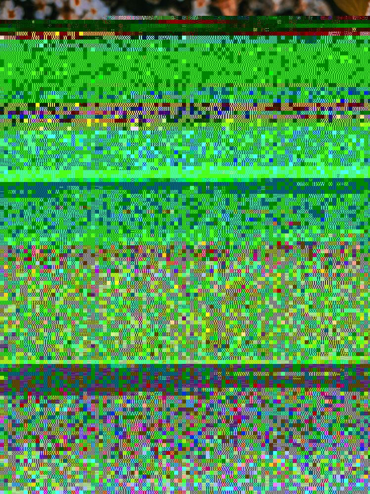 Photograph by Анастасия Никулина