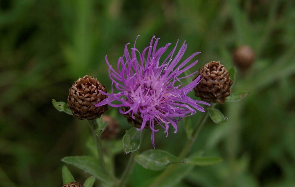 Photograph by Лариса Андреева