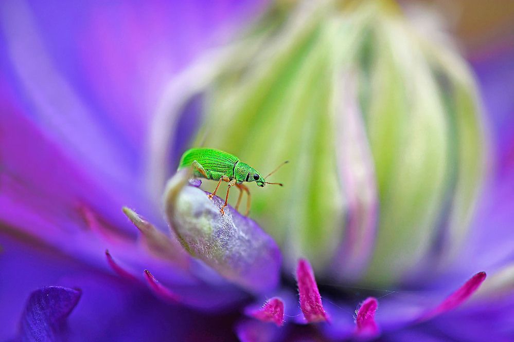 Photograph by Marjo Steffen