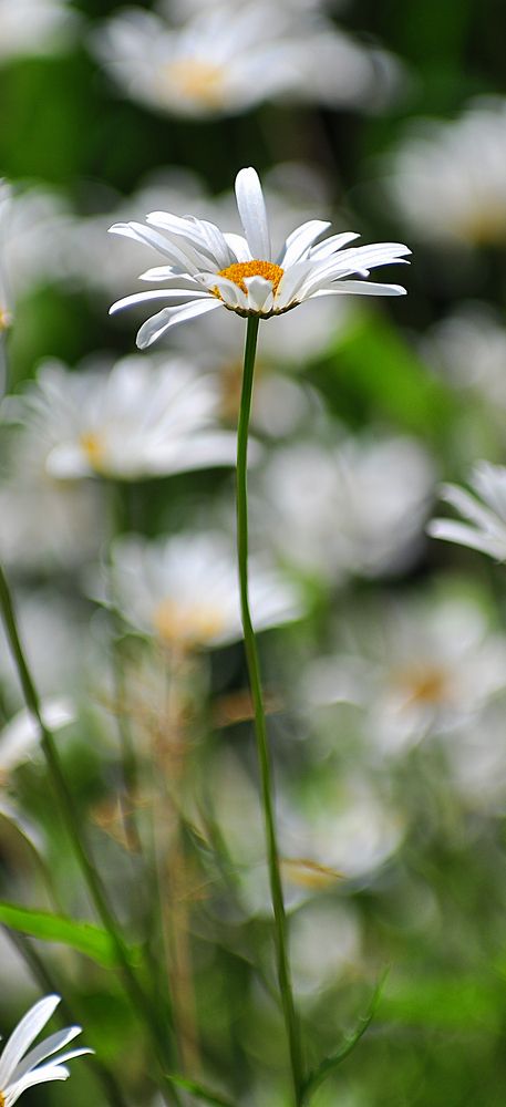 Photograph by Василий Либко