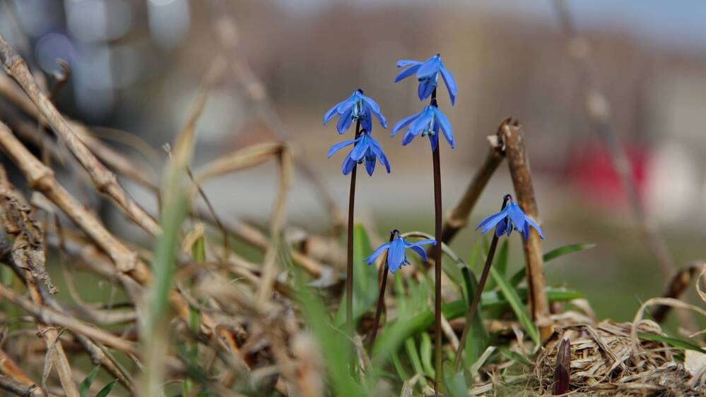 Фотография автора Илья К