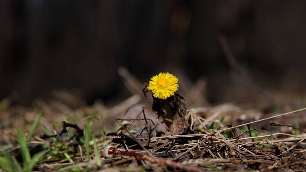 Фотография автора Илья К