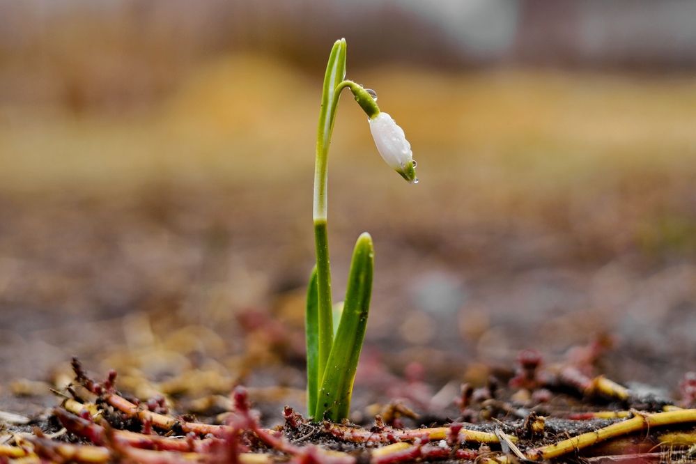 Фотография автора Илья К