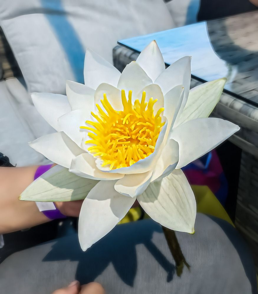 Photograph by Анастасия Никулина