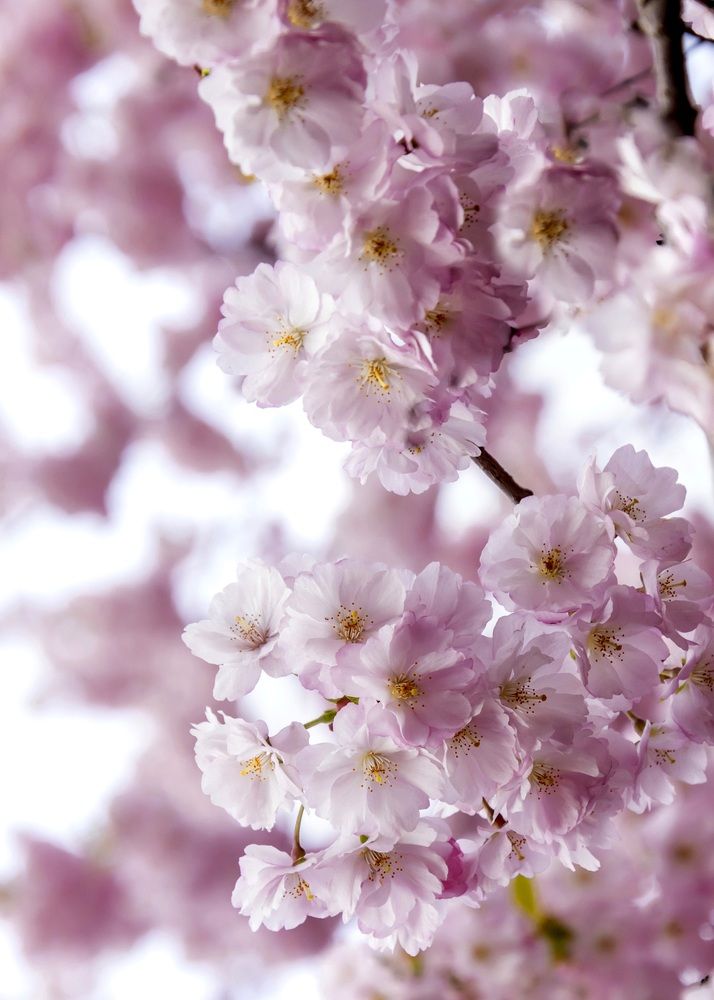 Photograph by Валентина Куренкова