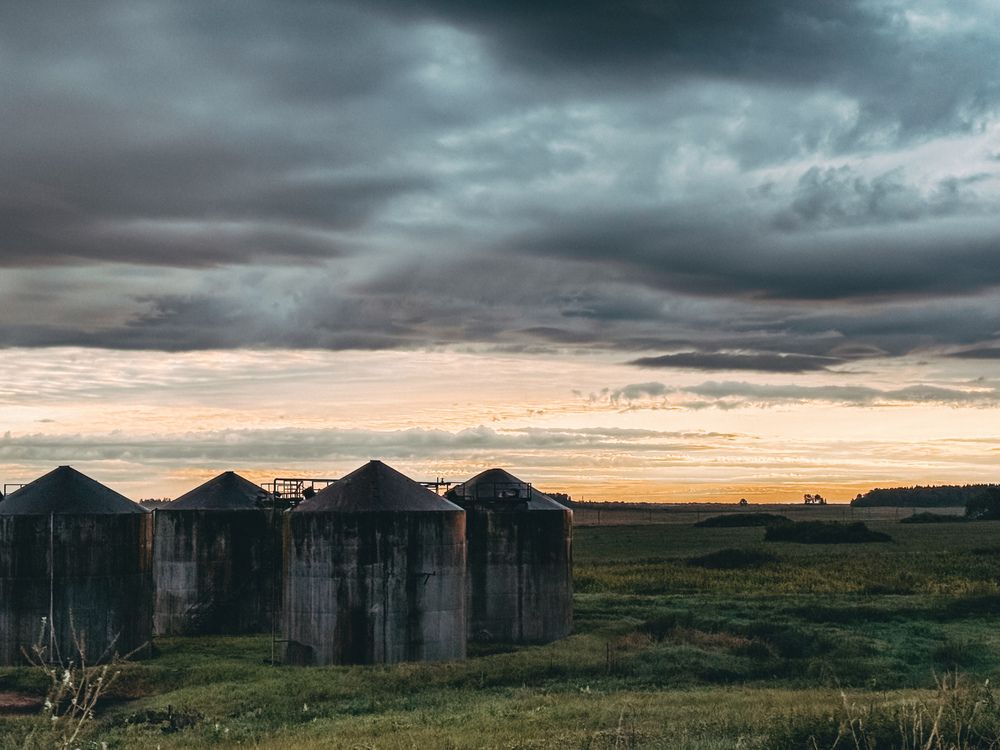 Photograph by Светлана Долганова