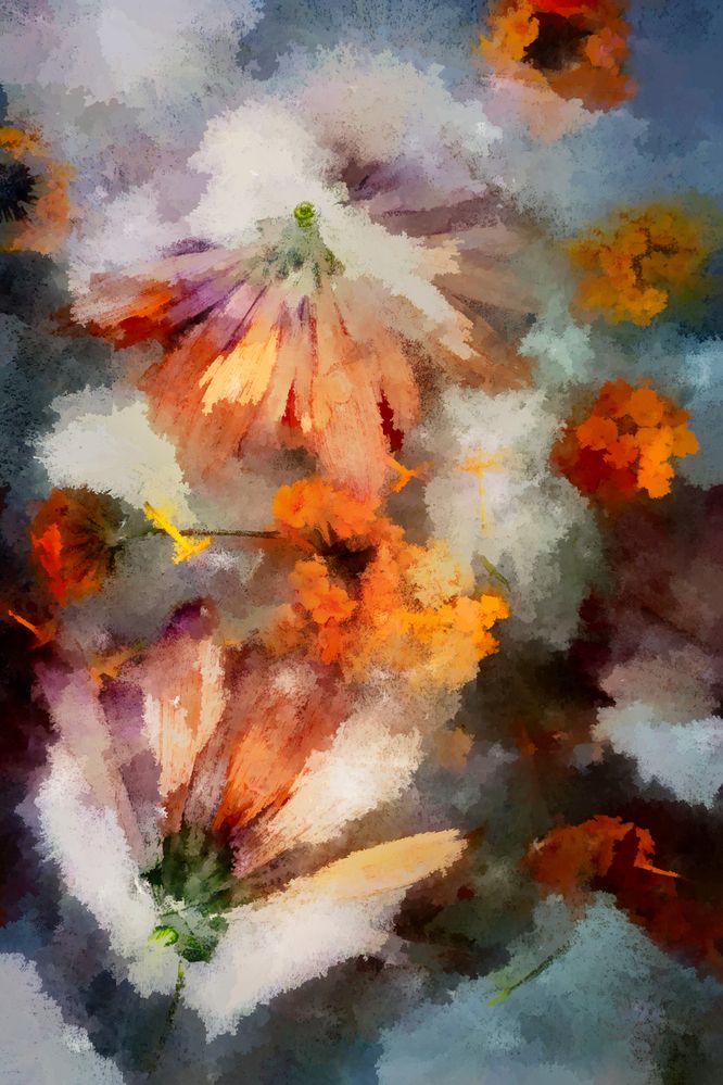 Photograph by Hilda Champion