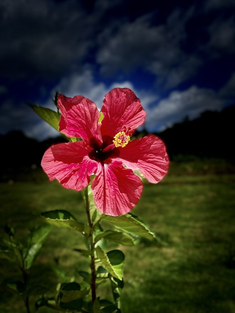 Photograph by VIPUL BAGGA