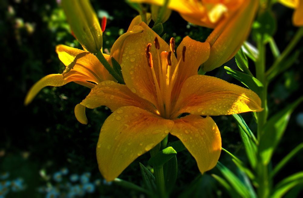 Photograph by Денис Колесников