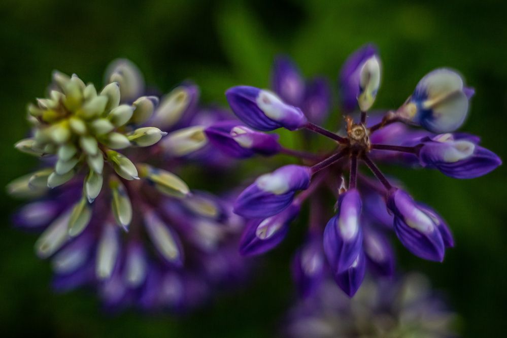 Photograph by Владислав Лопатов