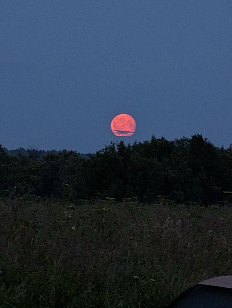 Photograph by Наталья Горовых