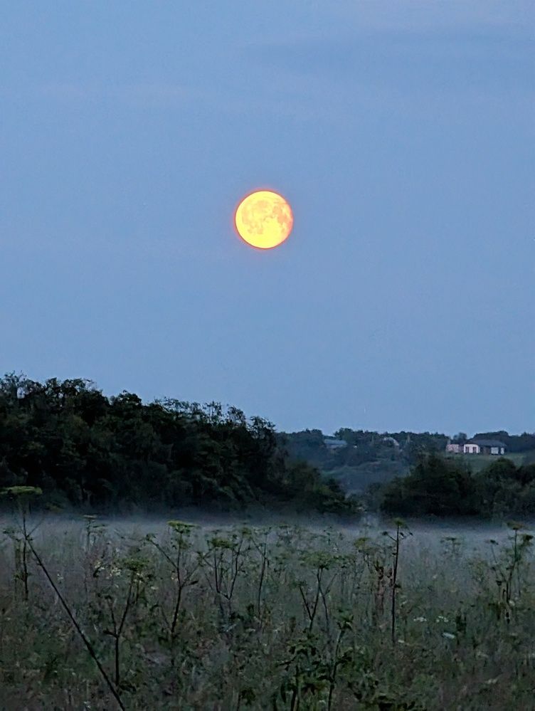 Photograph by Наталья Горовых