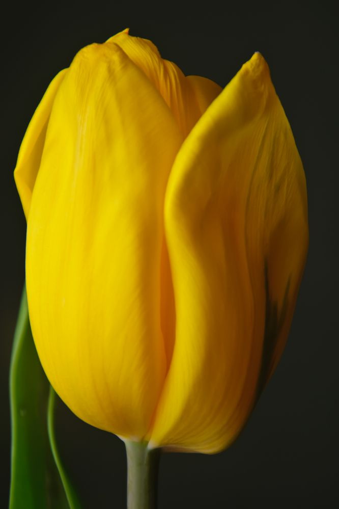 Photograph by Александр