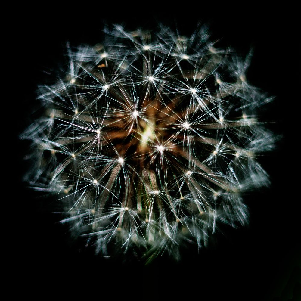 Photograph by Александр