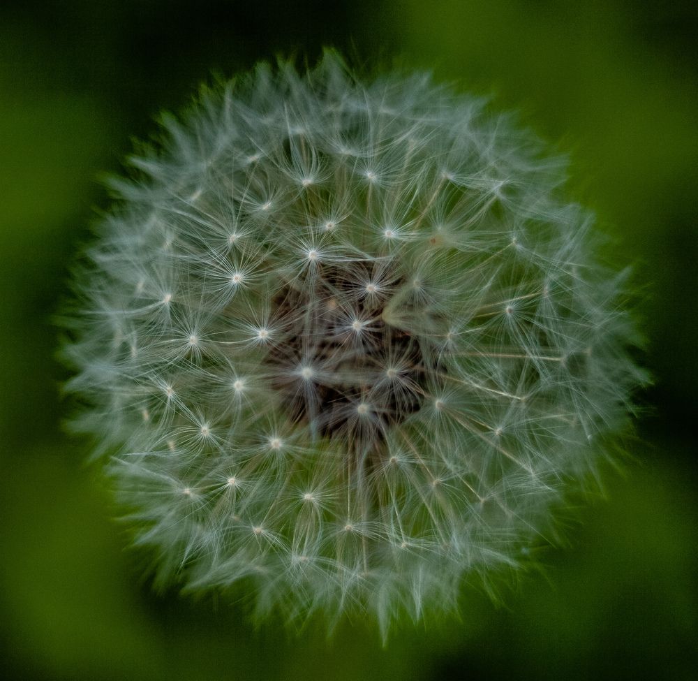 Photograph by Владислав Лопатов