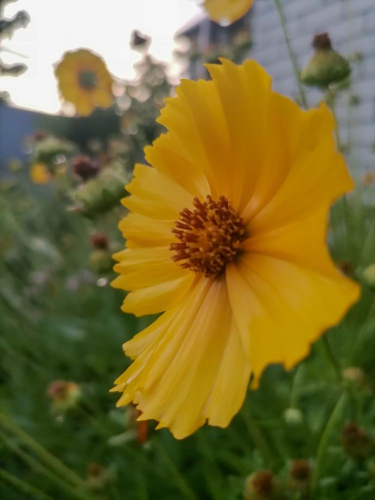 Photograph by Титова Наталья