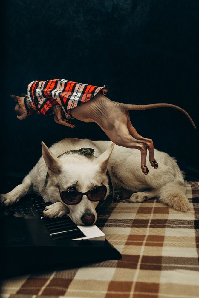 Фотография автора Марина Дятлова