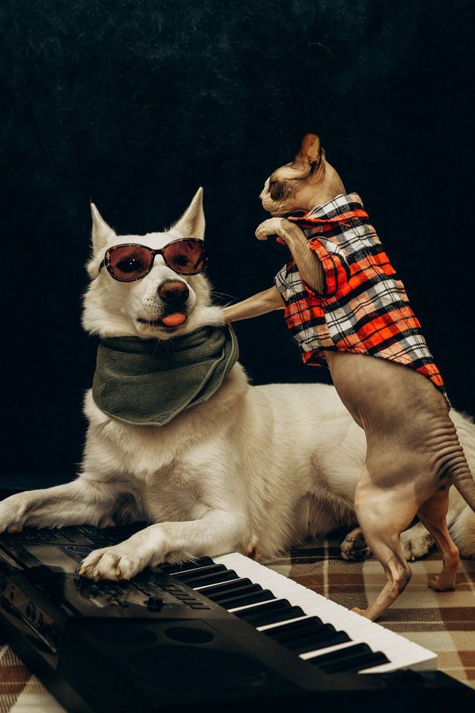 Фотография автора Марина Дятлова