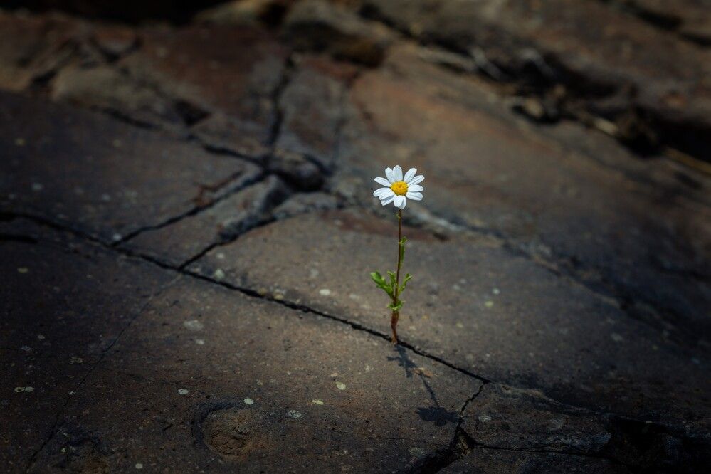 Photograph by SOUFIANE EL KADAOUI