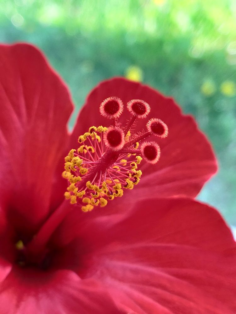 Photograph by Наталья Корнеева