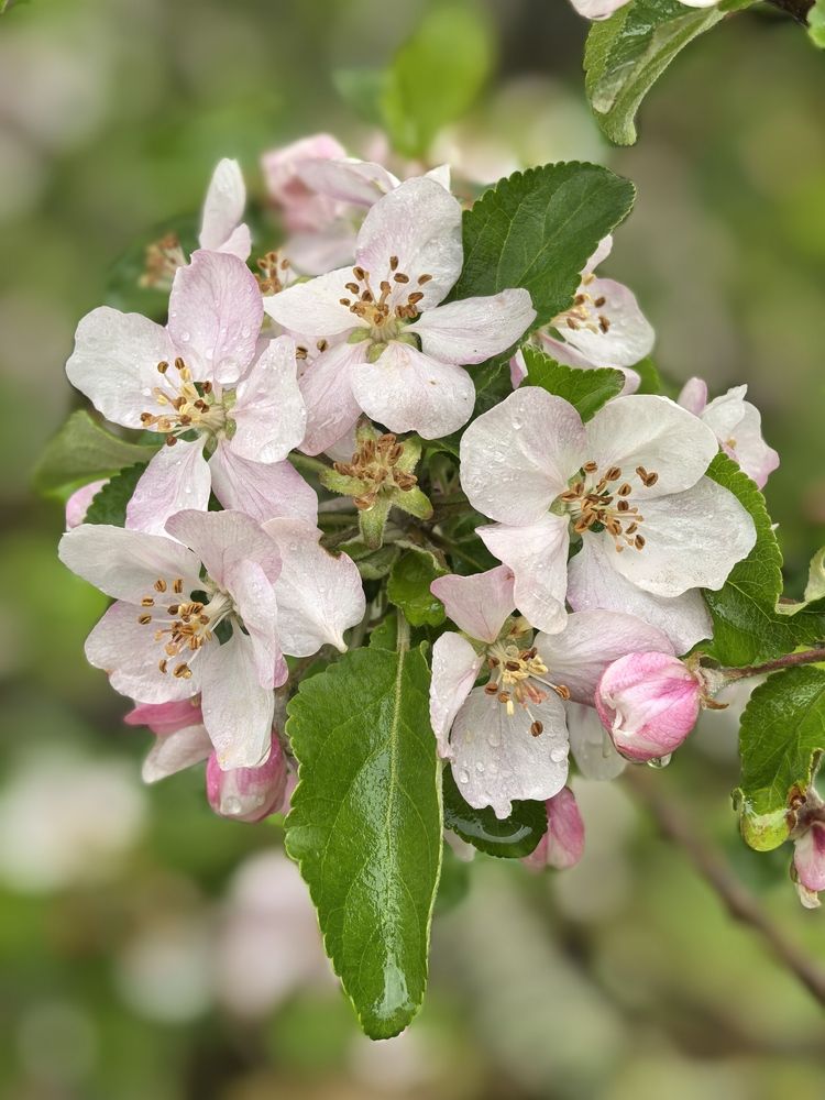 Фотография автора Александр Сипаров