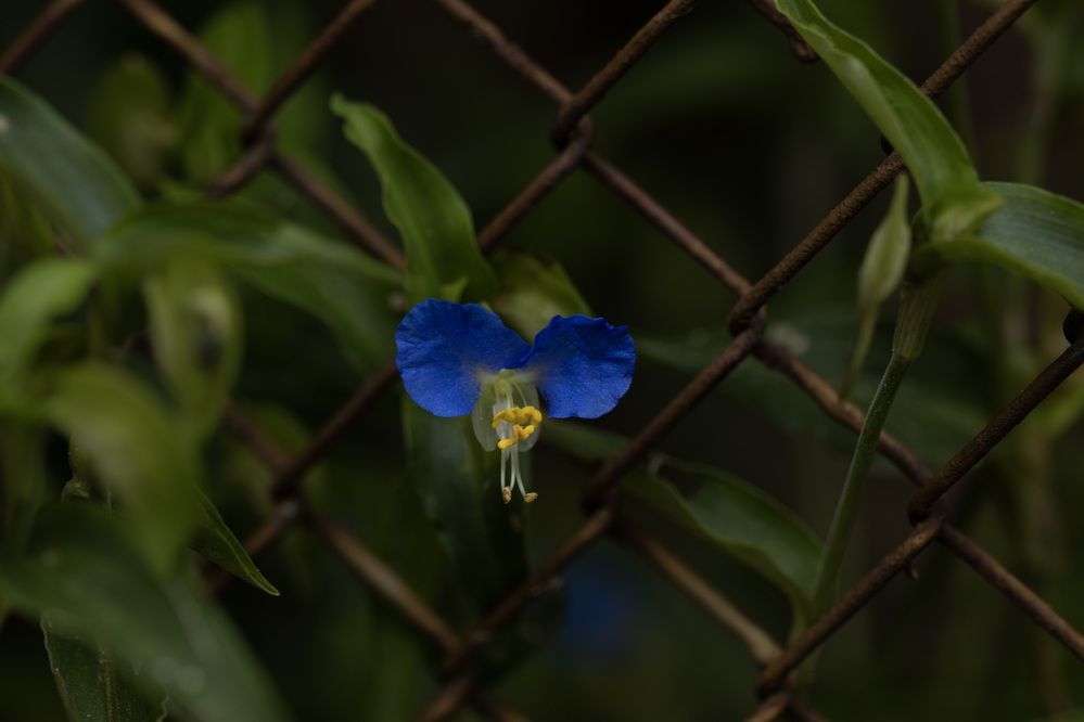 Photograph by Наталья Грищенко