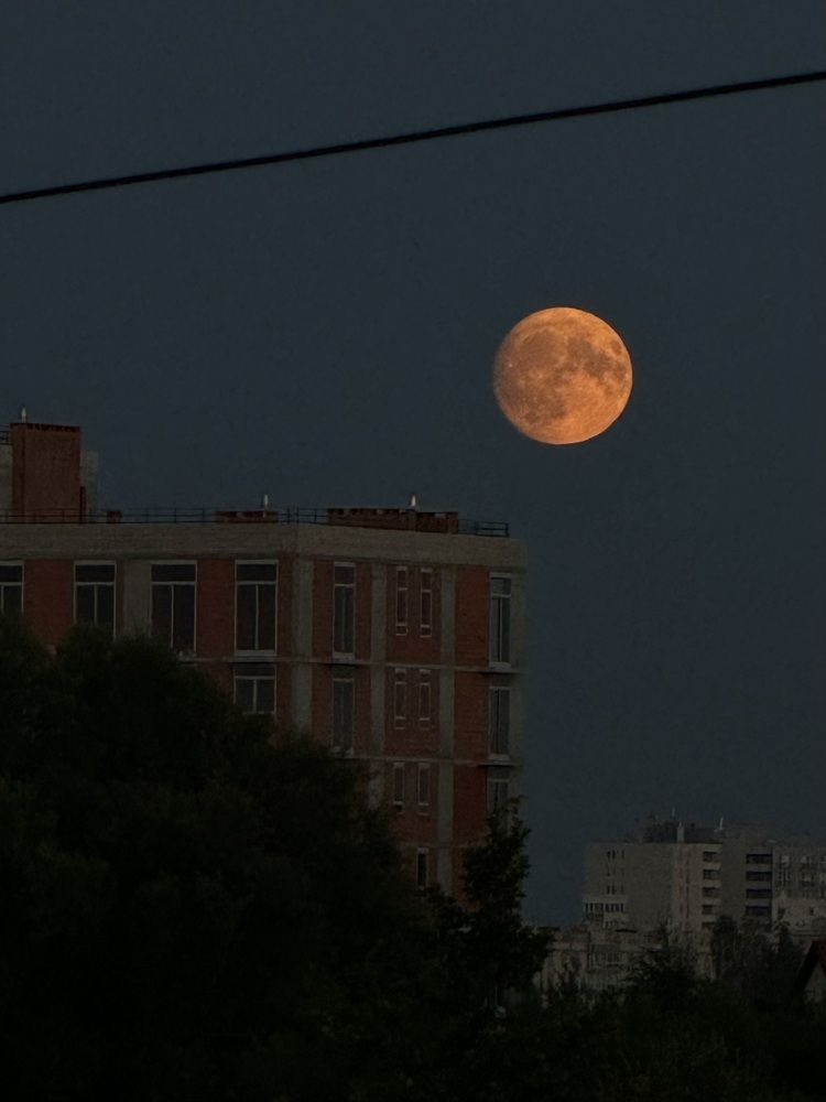 Photograph by Жанна Колесникова