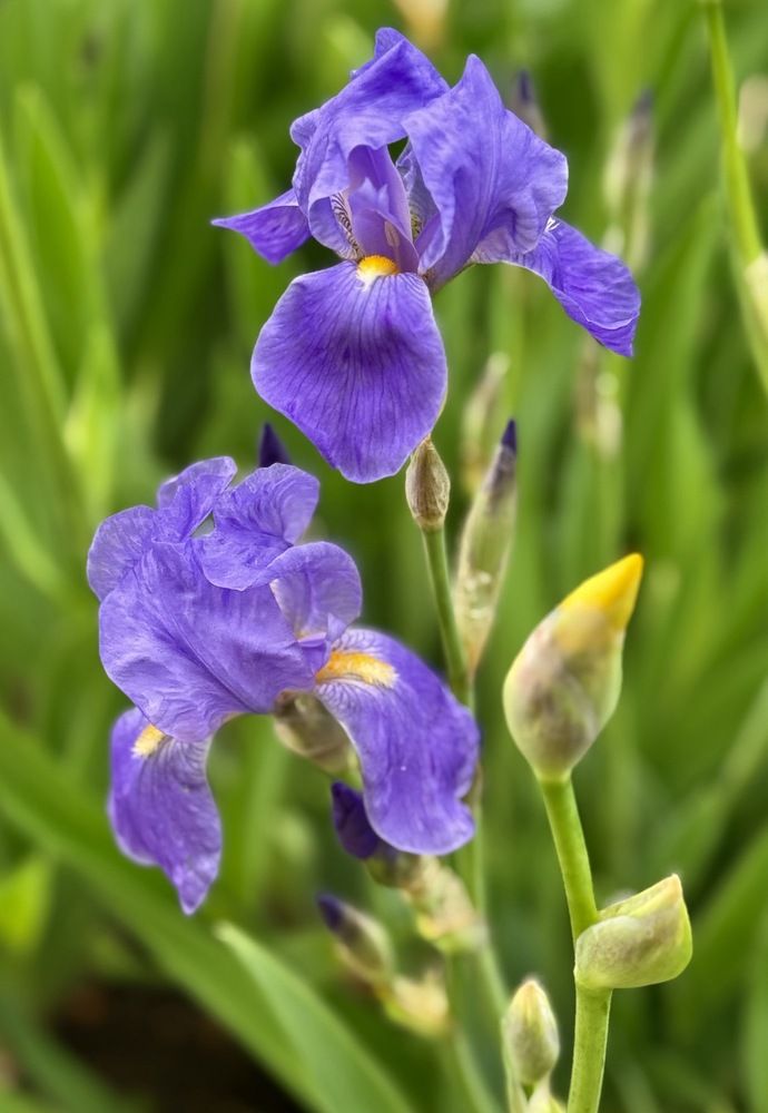 Photograph by Алена Ходатович