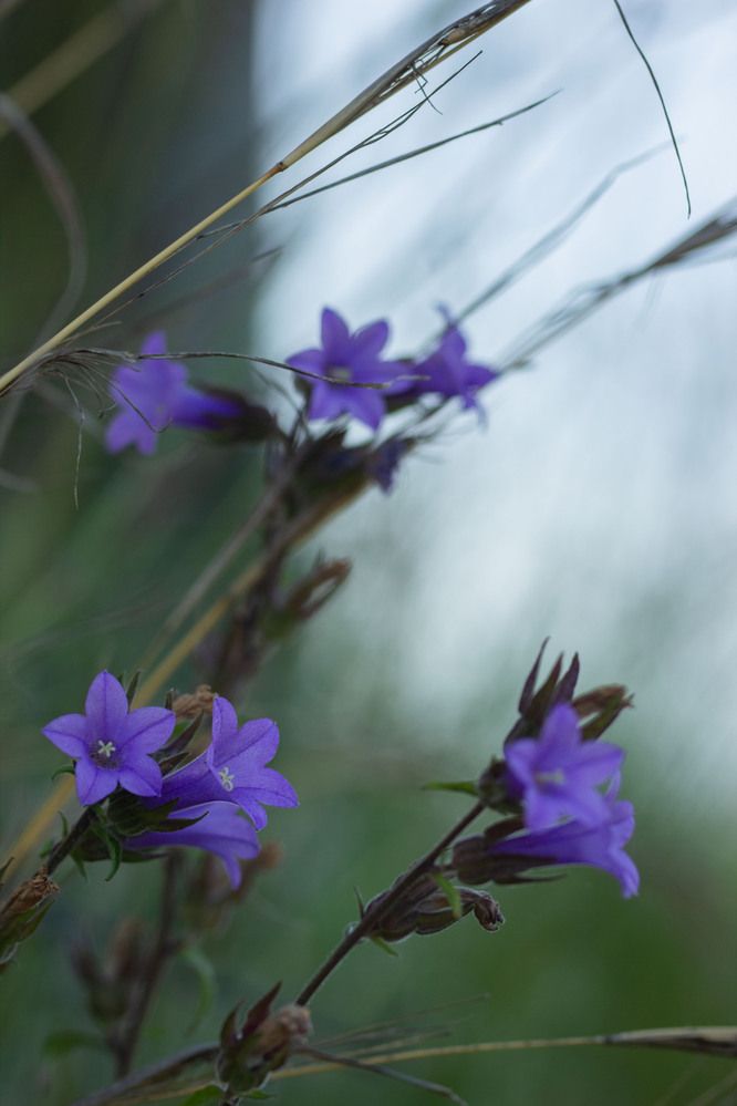 Photograph by Татьяна Рудковская