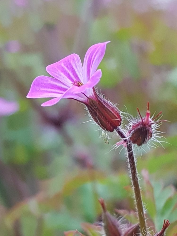 Photograph by Blue Eyes