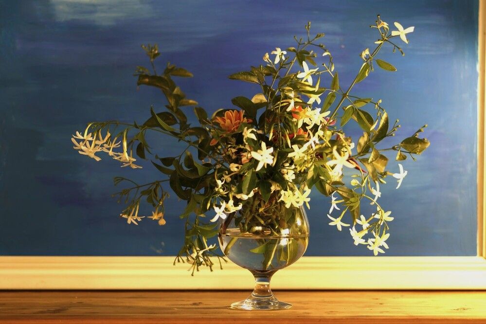 Photograph by Merav Zuberman Perkal