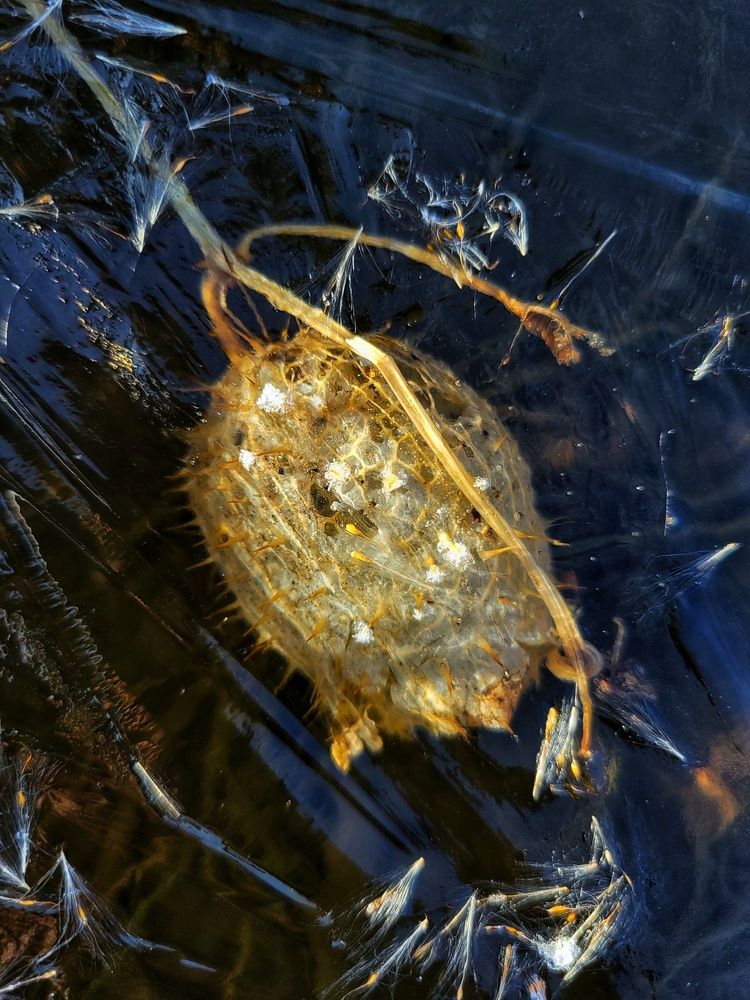 Photograph by Алина