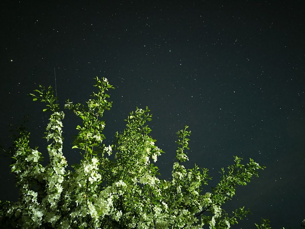 Фотография автора Александр Осинцев