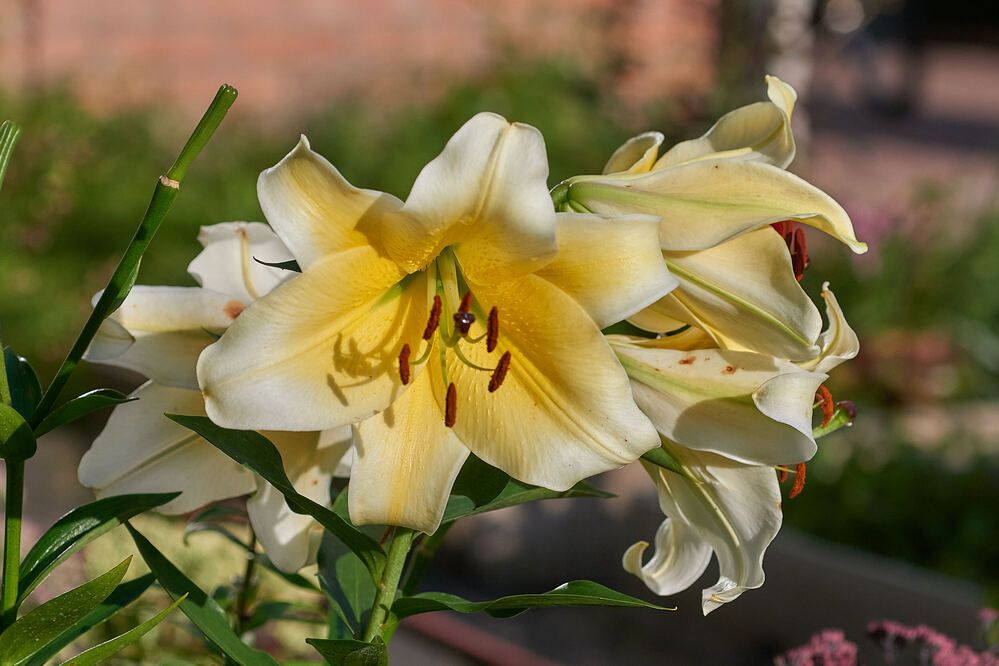 Photograph by Андрей Коротецкий