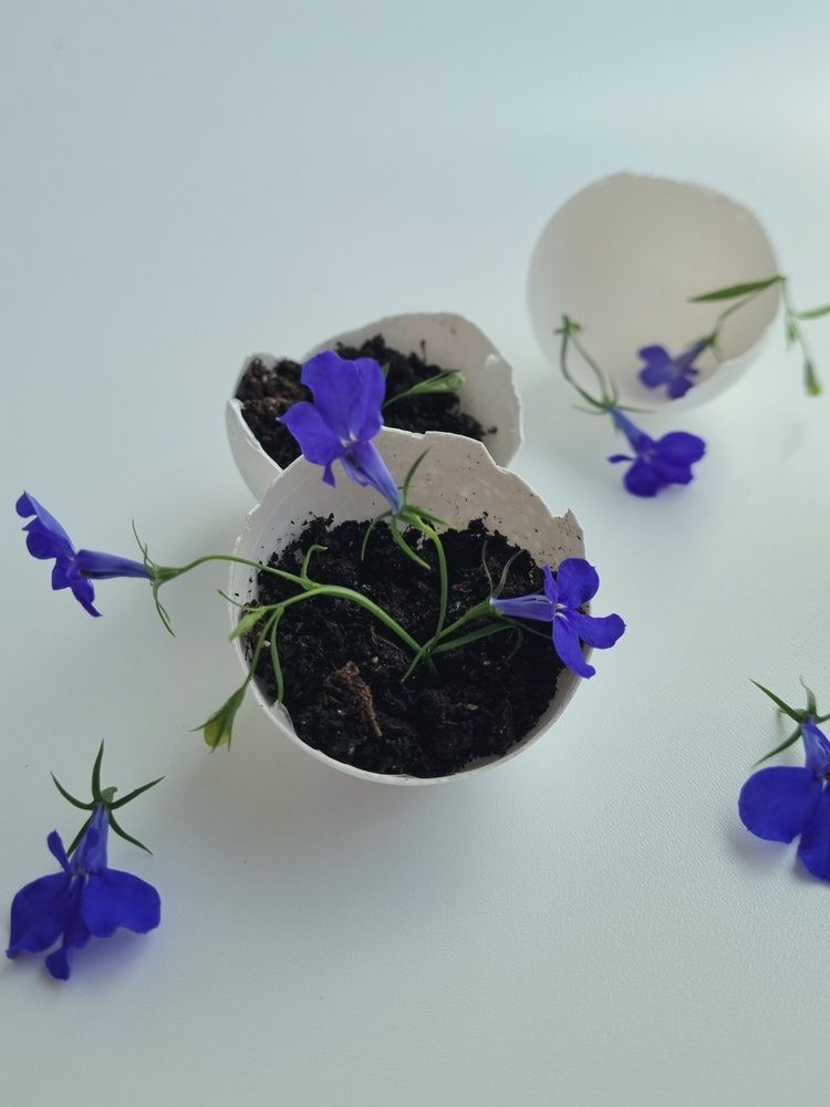 Photograph by Natasha