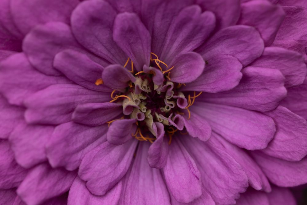 Photograph by Наталья Грищенко