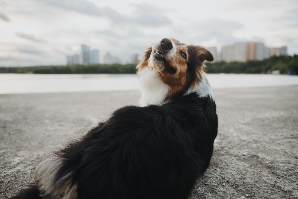 Photograph by Kate Entsi