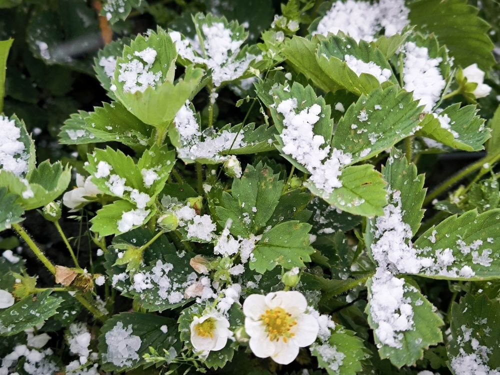 Фотография автора Александр Осинцев