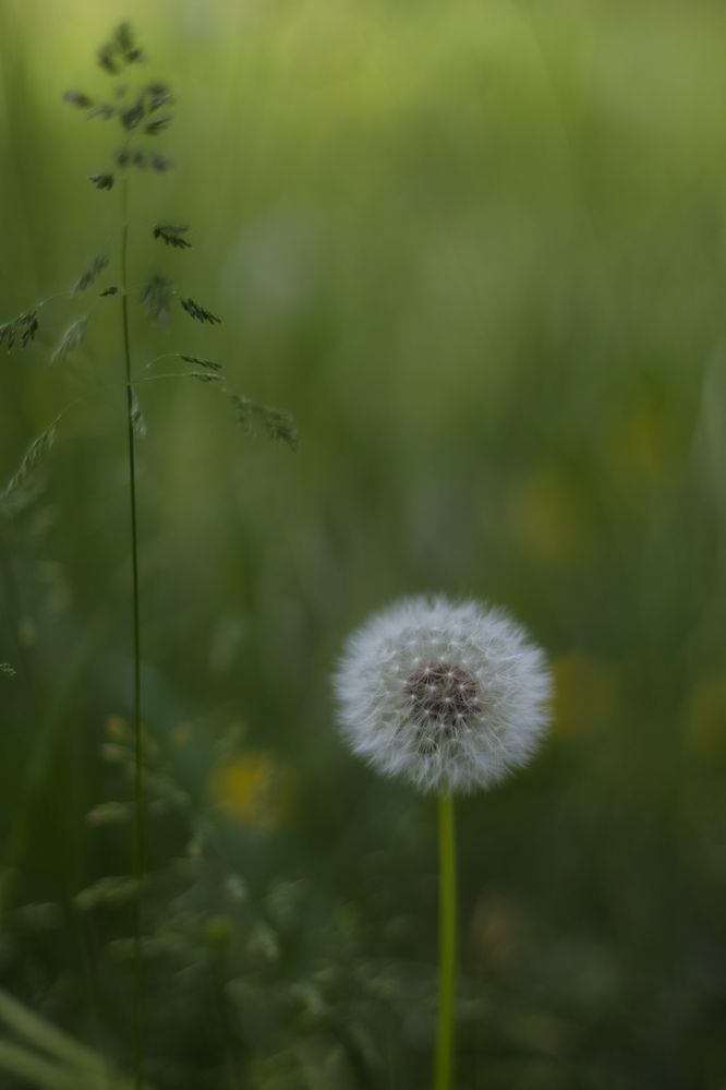 Photograph by Ed Simon