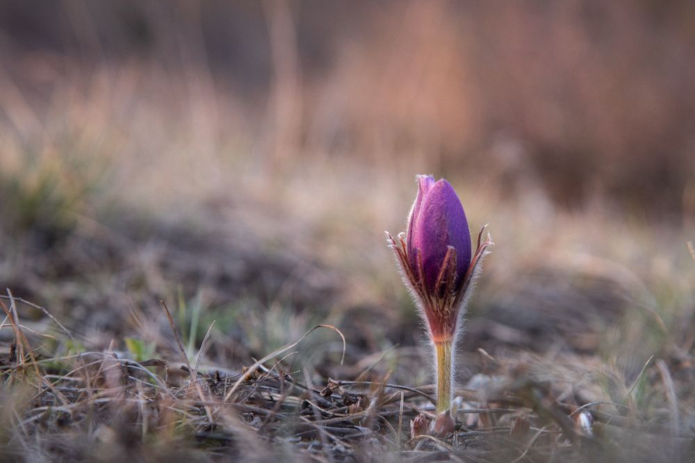 Photograph by Ирина Яук