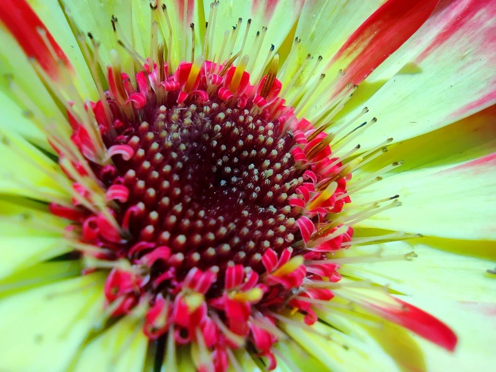 Photograph by JONATHAN VALDEZ